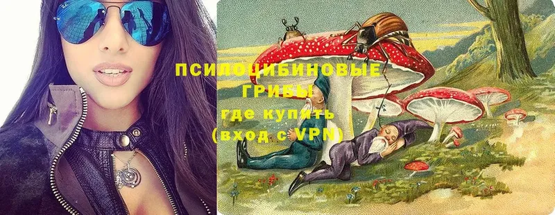 Псилоцибиновые грибы мухоморы  Ярославль 